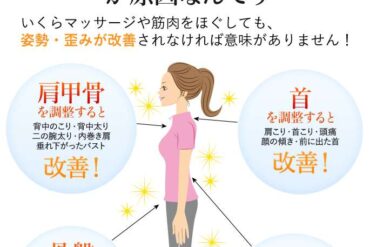 3月の特別キャンペーン